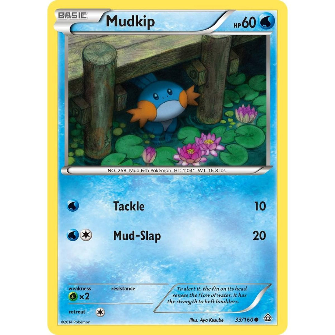 Mudkip