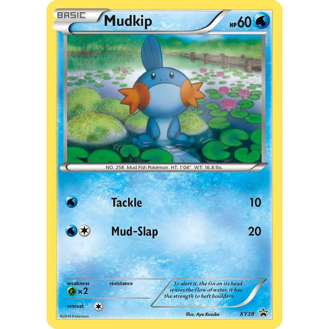 Mudkip - XY38