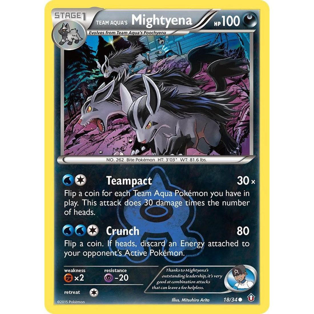 Team Aqua's Mightyena