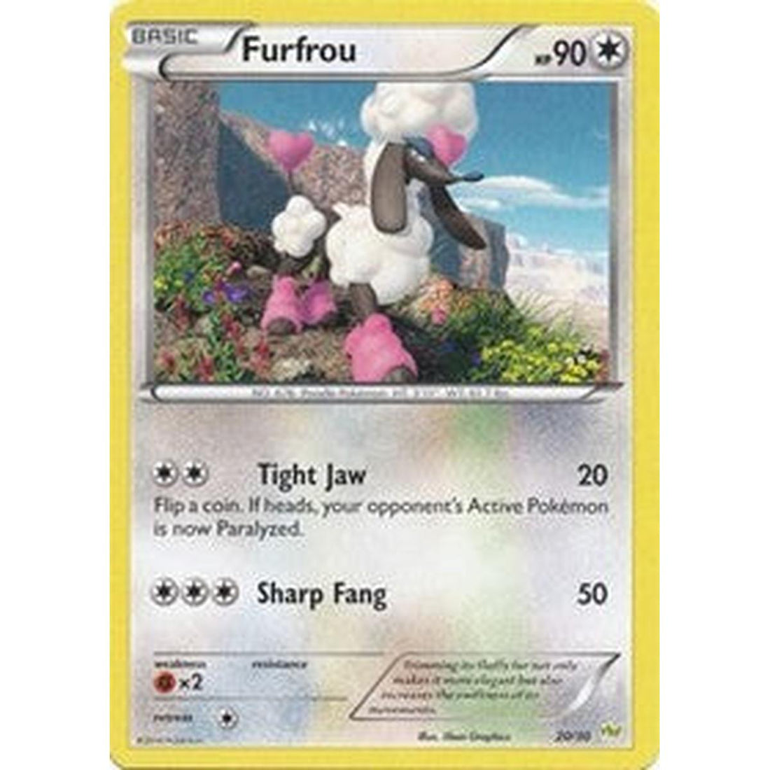 Furfrou (#20 - Noivern)