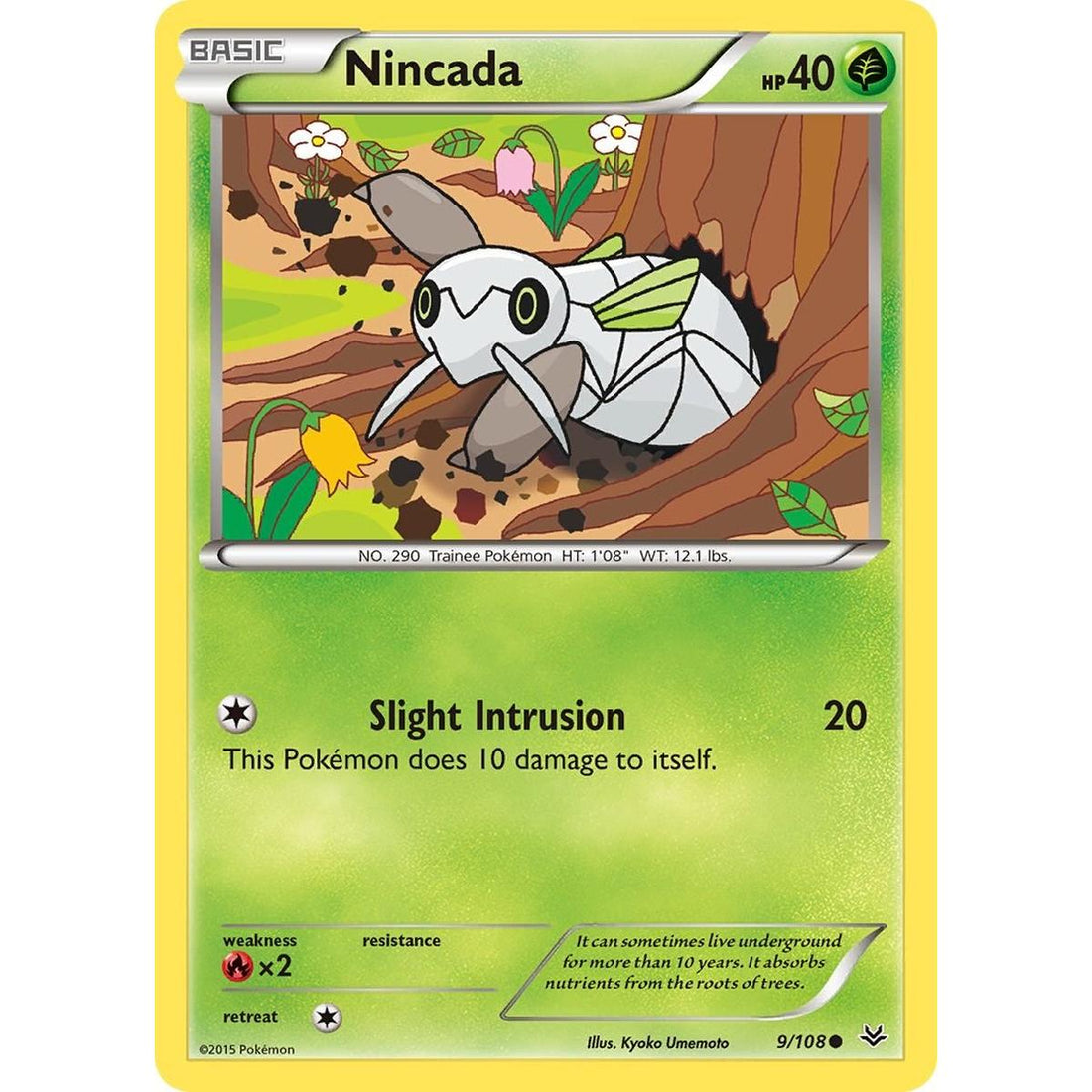 Nincada