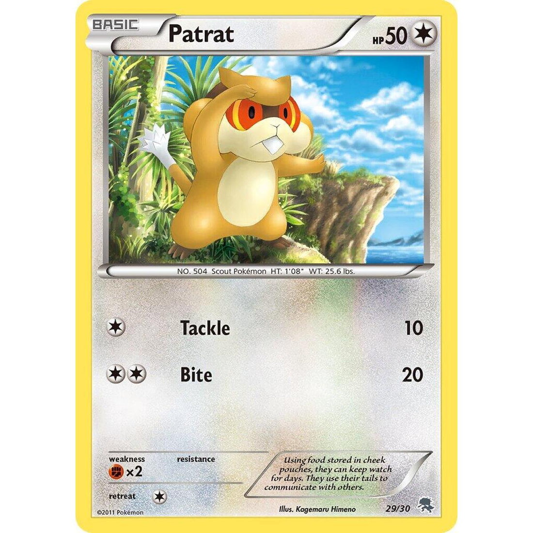 Patrat (#29)