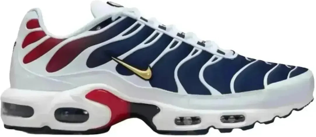Nike Air Max Plus PSG