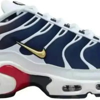 Nike Air Max Plus PSG