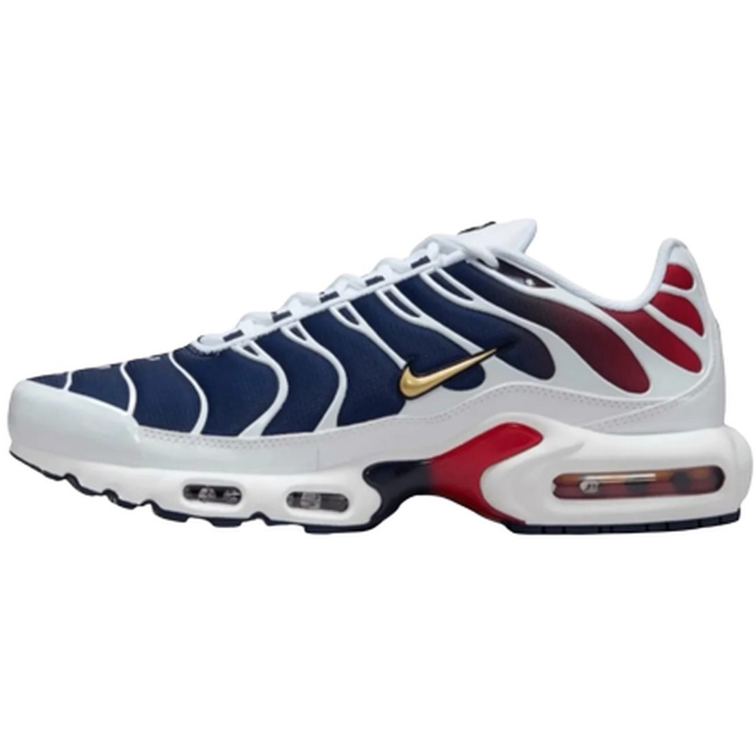 Nike Air Max Plus PSG