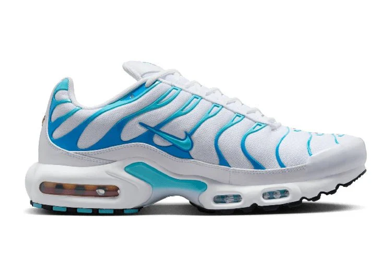 Nike Air Max Plus Polarised Blue
