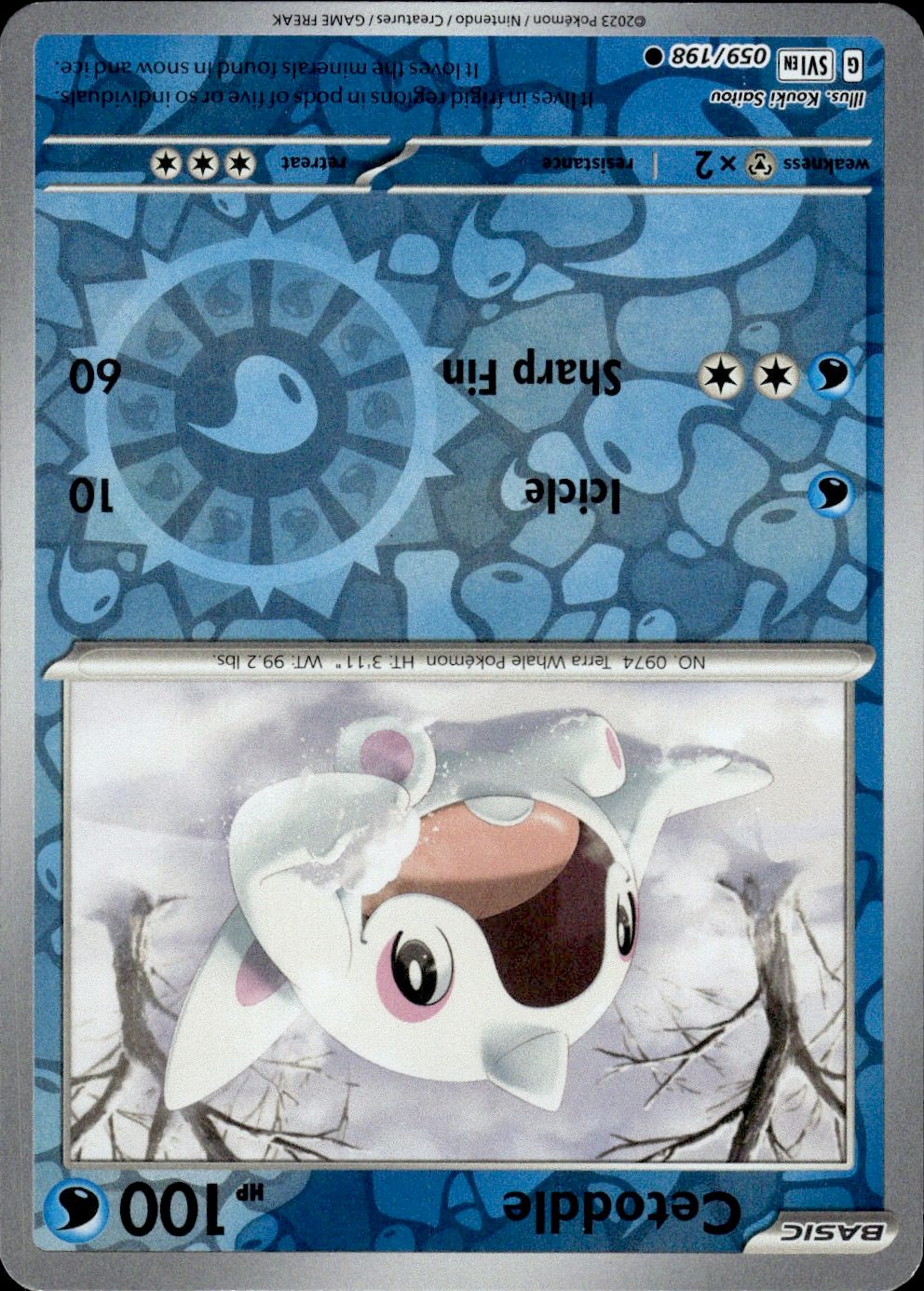 Cetoddle - 059/198 | Near Mint / English / Reverse Holofoil