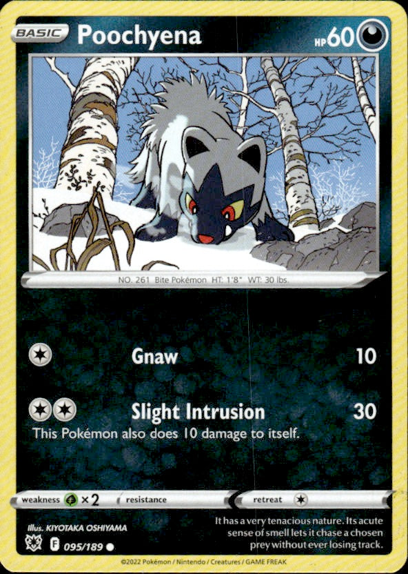 Poochyena | Near Mint / English / Reverse Holofoil