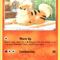 Growlithe | Near Mint / English / Normal