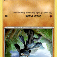 Riolu (46)