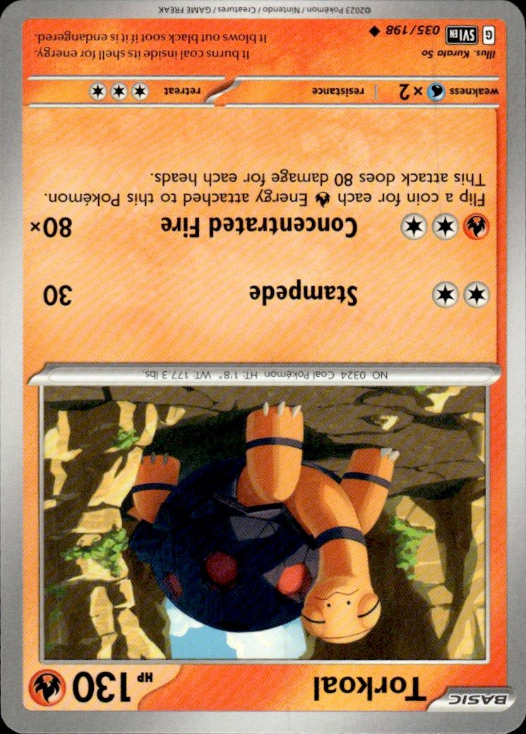 Torkoal | Near Mint / English / Normal