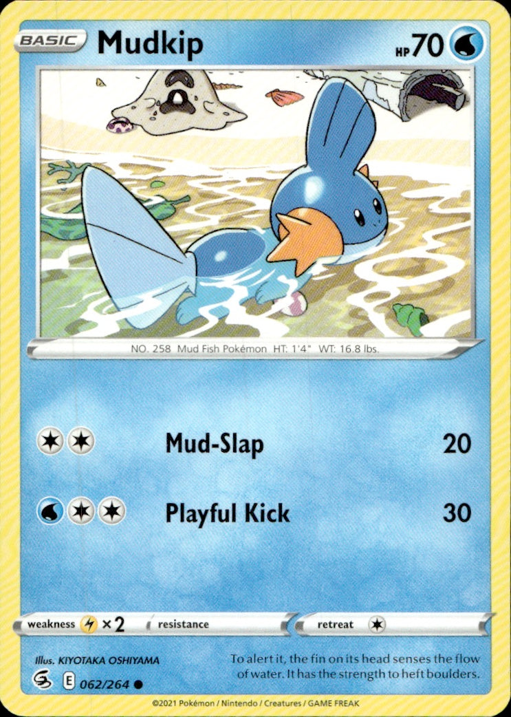 Mudkip