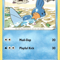Mudkip
