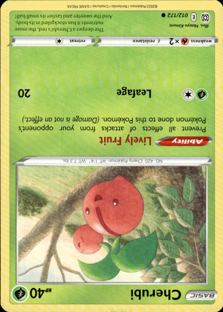 Cherubi