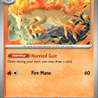 Rapidash - 030/182 | Near Mint / English / Normal