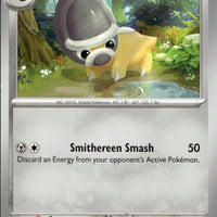 Shieldon | Near Mint / English / Normal