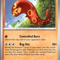 Sizzlipede | Near Mint / English / Normal