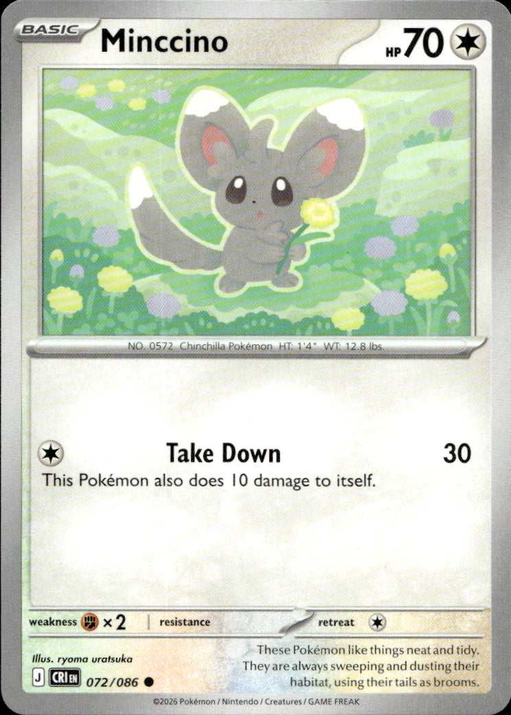 Minccino | Near Mint / English / Normal