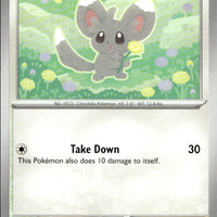 Minccino | Near Mint / English / Normal