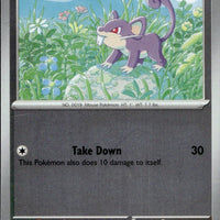 Rattata | Near Mint / English / Reverse Holofoil