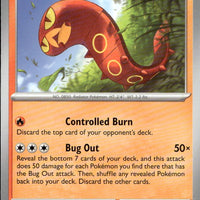 Sizzlipede | Near Mint / English / Normal