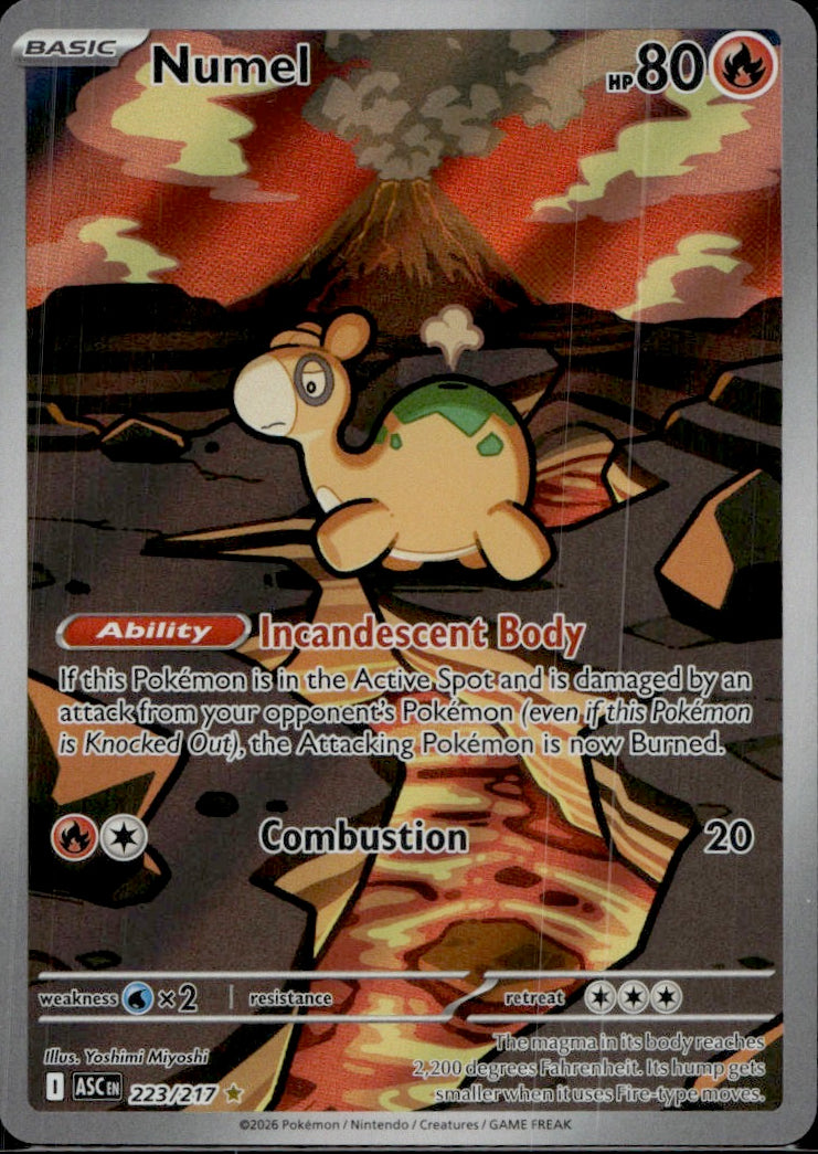 Numel - 223/217