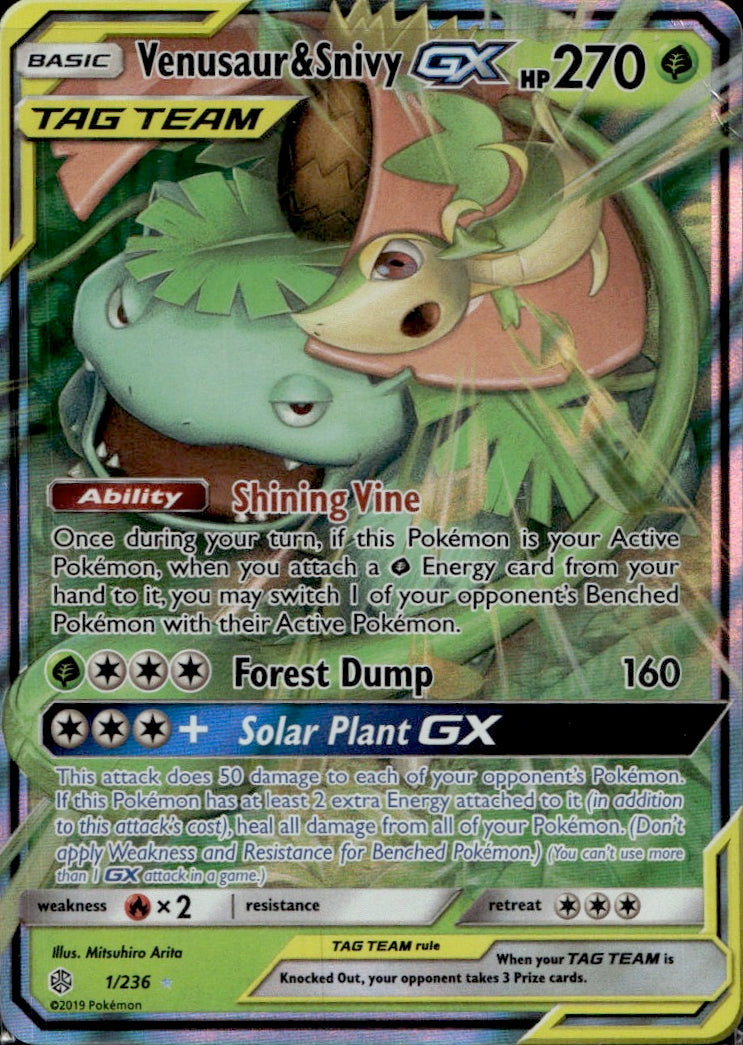 Venusaur & Snivy GX