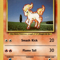 Ponyta
