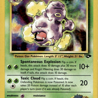 Koga's Weezing