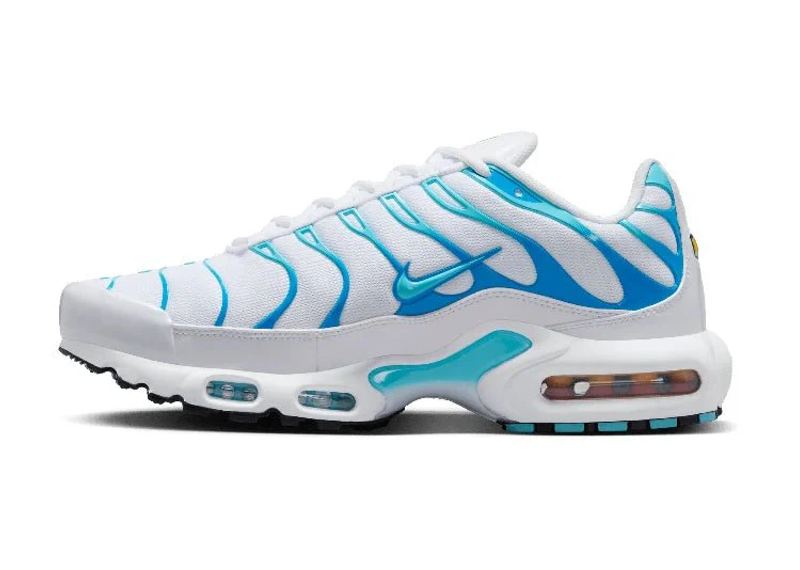 Nike Air Max Plus Polarised Blue