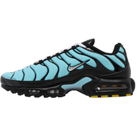 Nike Air Max Plus Aqua Blue